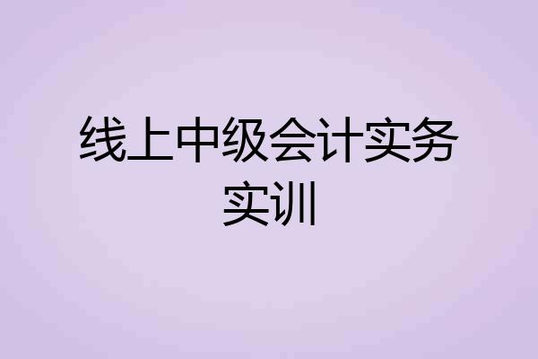 线上中级会计实务实训