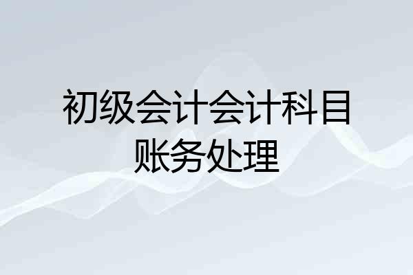 初级会计会计科目账务处理