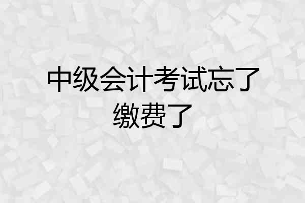 中级会计考试忘了缴费了