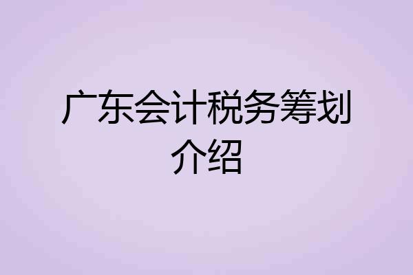 广东会计税务筹划介绍