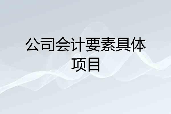 公司会计要素具体项目