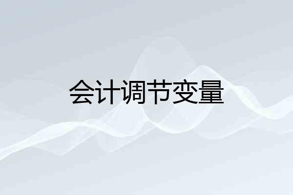 会计调节变量