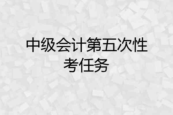 中级会计第五次性考任务