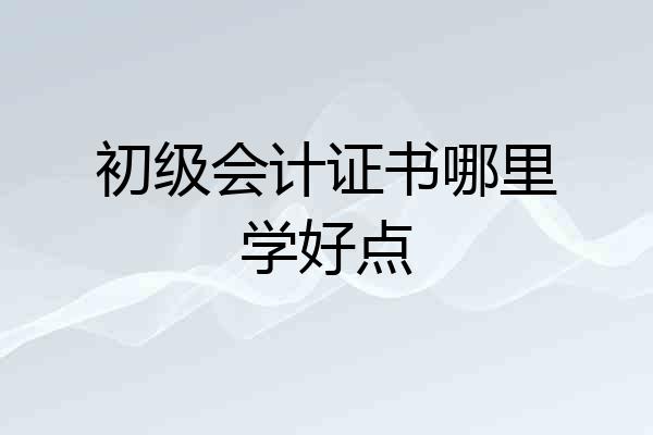 初级会计证书哪里学好点