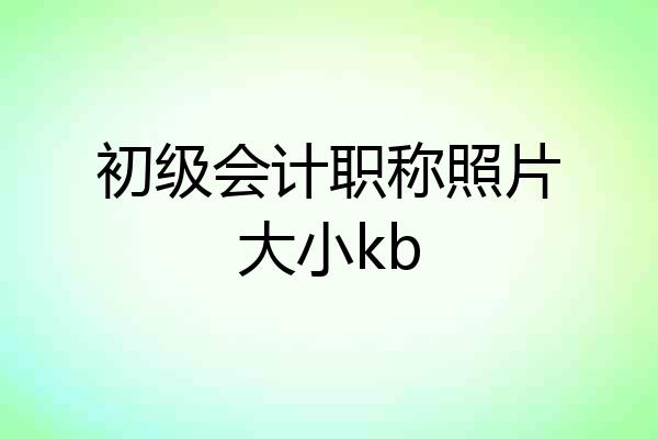 初级会计职称照片大小kb