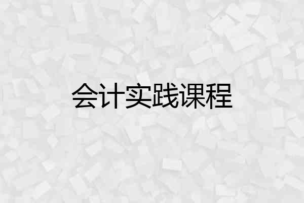 会计实践课程