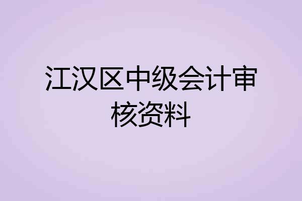 江汉区中级会计审核资料