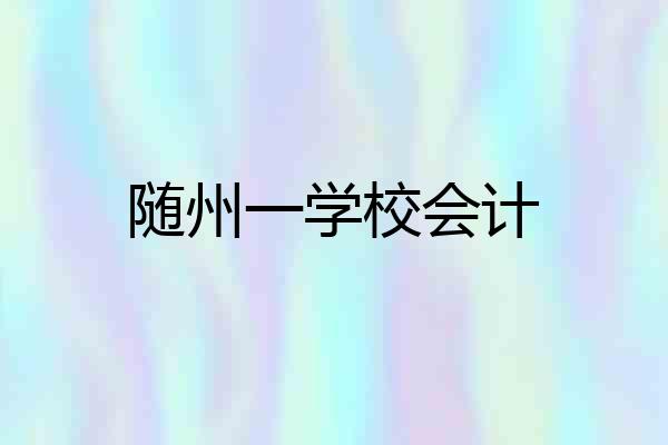 随州一学校会计