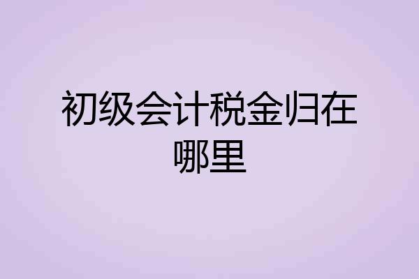 初级会计税金归在哪里