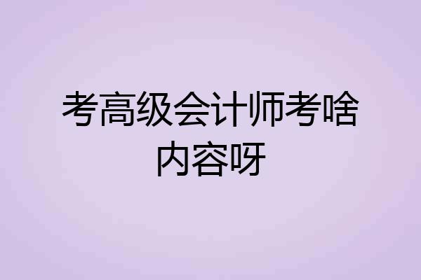 考高级会计师考啥内容呀