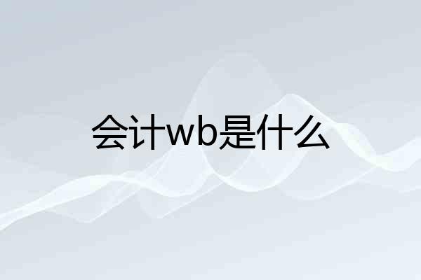 会计wb是什么