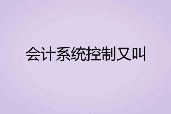 会计系统控制又叫