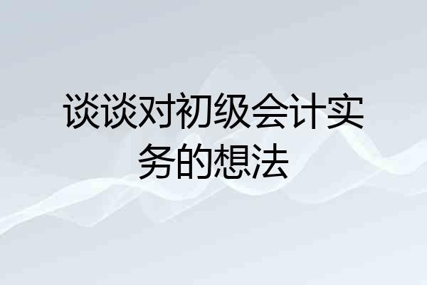 谈谈对初级会计实务的想法