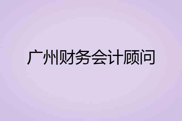 广州财务会计顾问