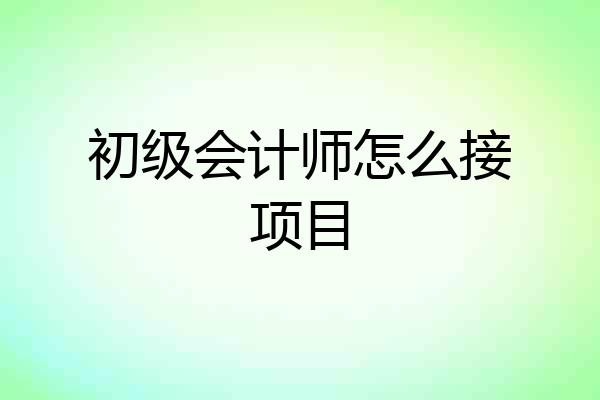 初级会计师怎么接项目