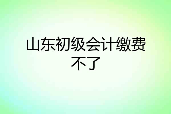 山东初级会计缴费不了