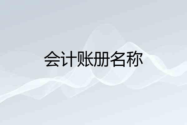 会计账册名称