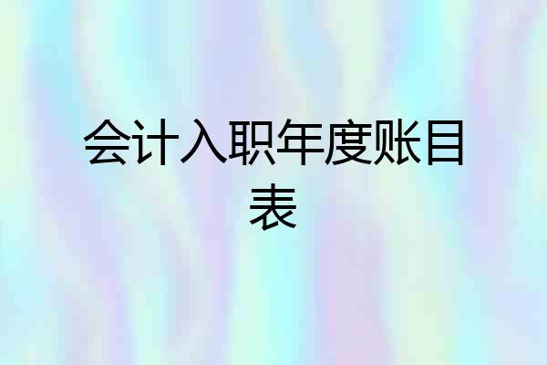 会计入职年度账目表