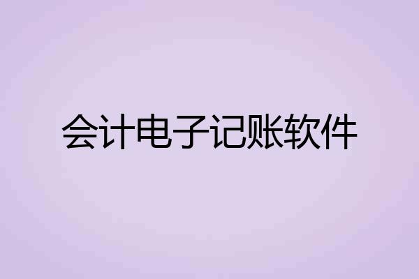 会计电子记账软件