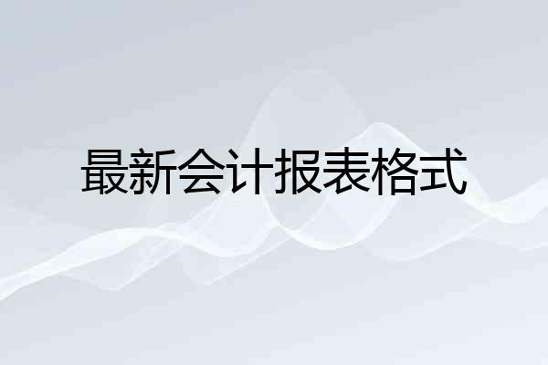 最新会计报表格式