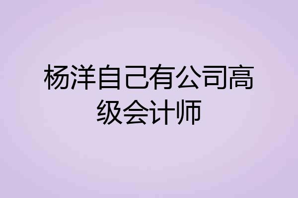 杨洋自己有公司高级会计师