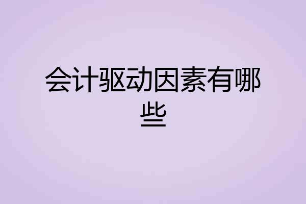 会计驱动因素有哪些
