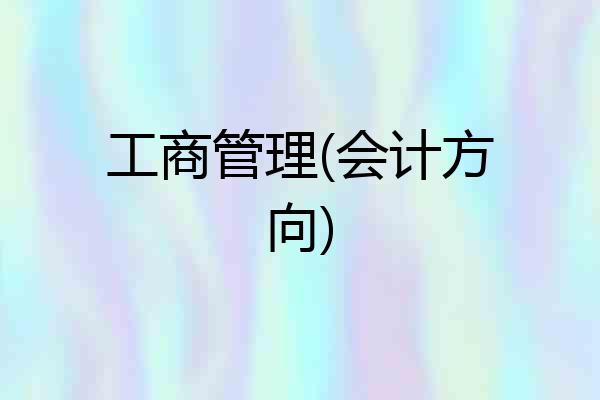 工商管理(会计方向)