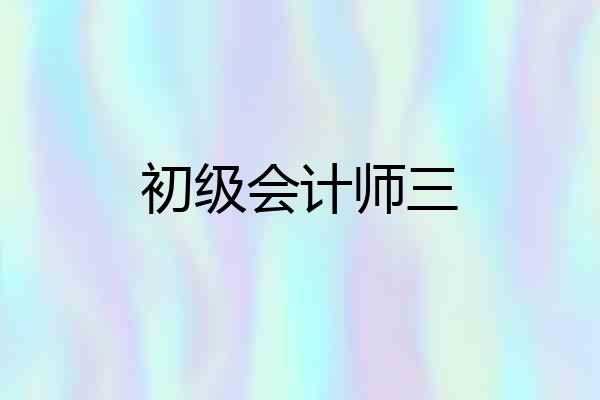 初级会计师三