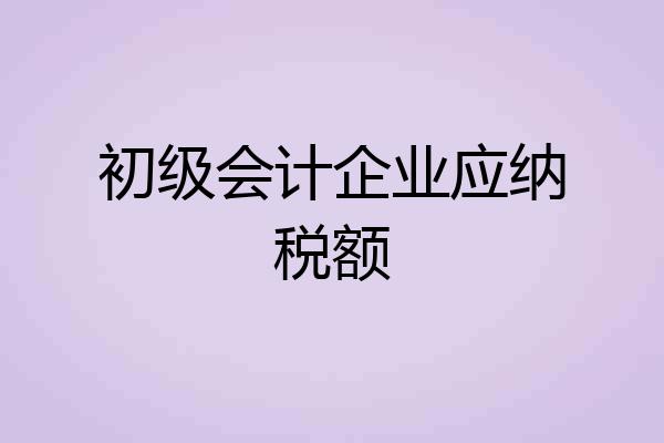 初级会计企业应纳税额