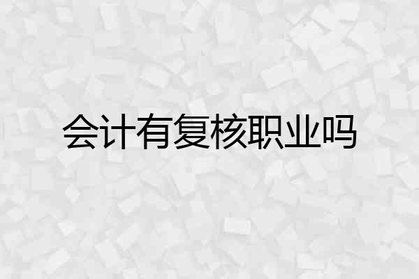 会计有复核职业吗