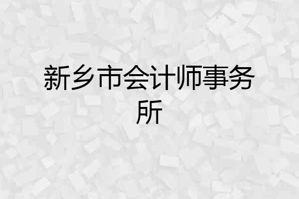 新乡市会计师事务所