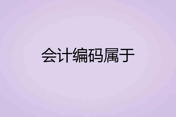 会计编码属于