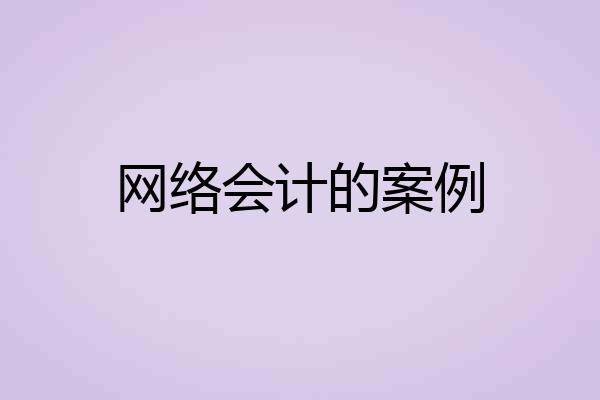 网络会计的案例