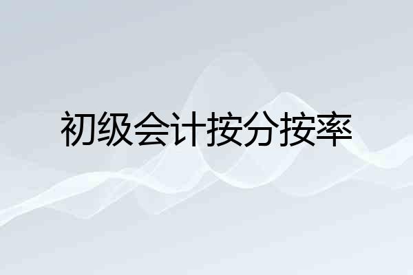 初级会计按分按率