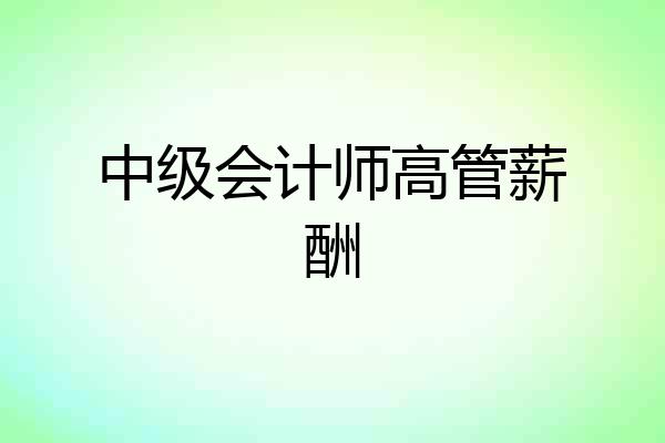 中级会计师高管薪酬