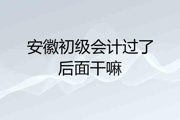 安徽初级会计过了后面干嘛