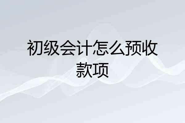 初级会计怎么预收款项
