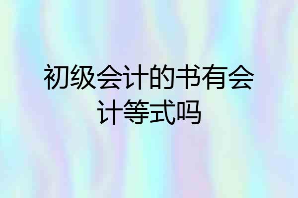 初级会计的书有会计等式吗