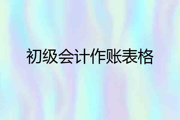 初级会计作账表格