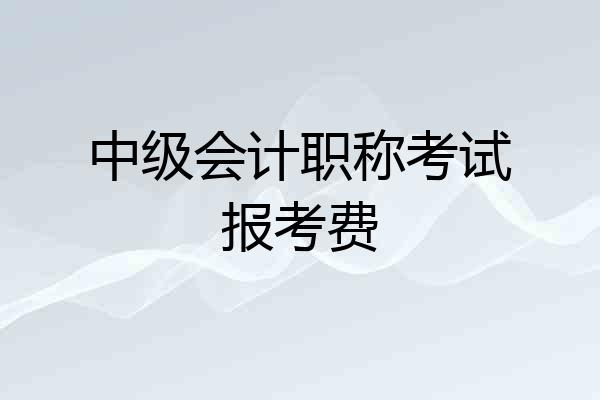中级会计职称考试报考费