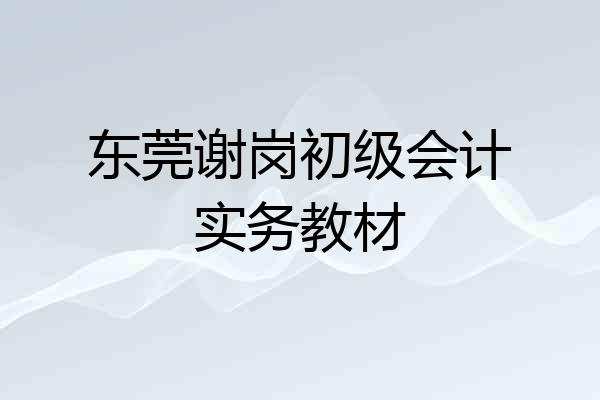 东莞谢岗初级会计实务教材