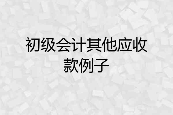初级会计其他应收款例子