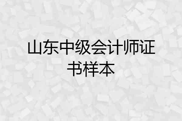 山东中级会计师证书样本