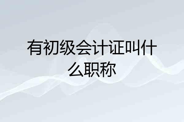 有初级会计证叫什么职称