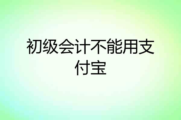 初级会计不能用支付宝