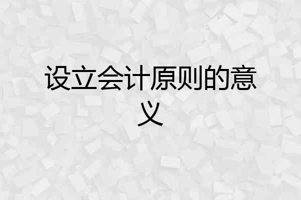 设立会计原则的意义