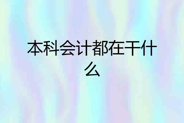 本科会计都在干什么