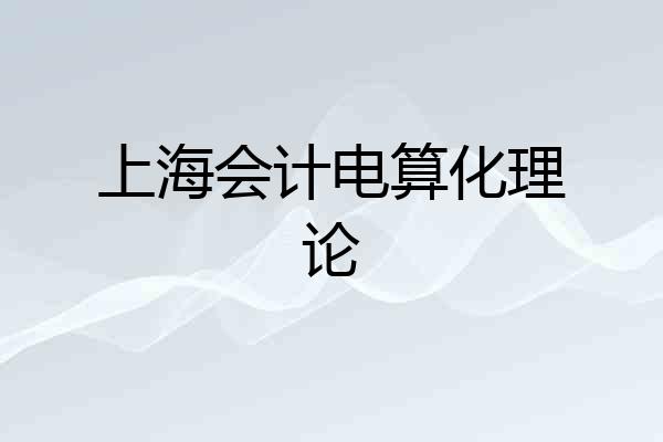 上海会计电算化理论