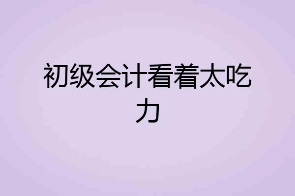 初级会计看着太吃力