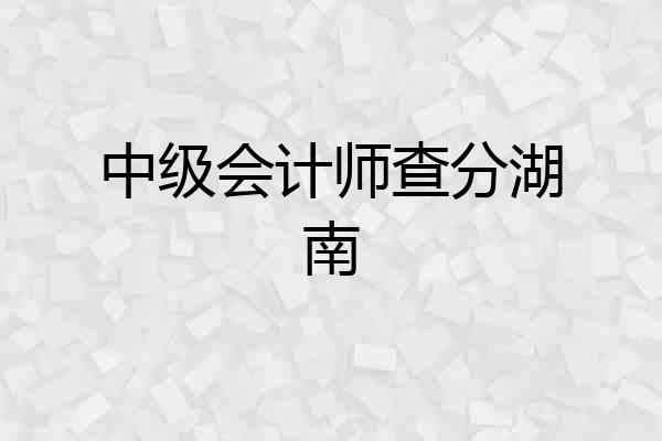 中级会计师查分湖南